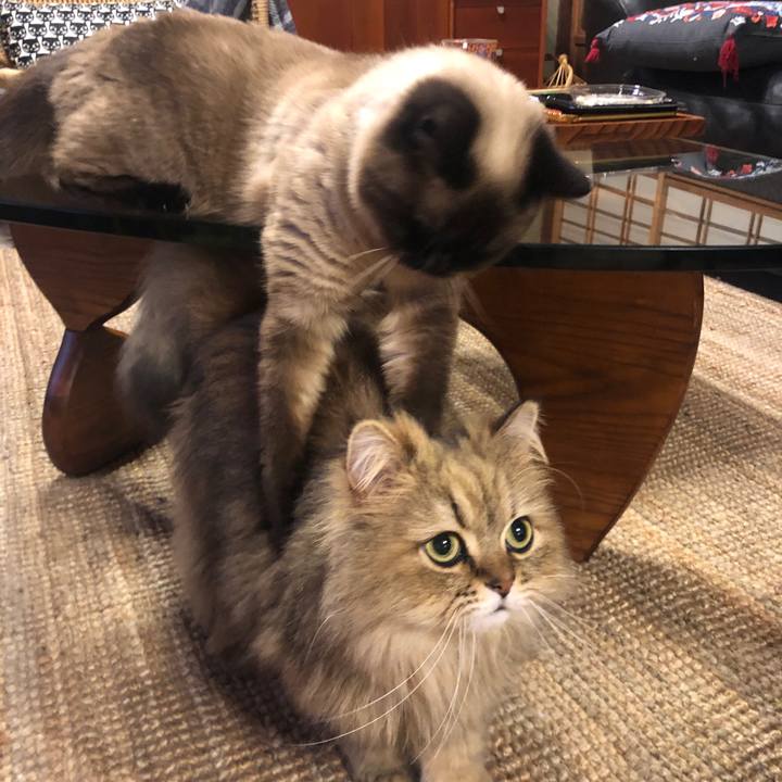 5230131c abc9 4919 9258 320c055a7370 1623067534586