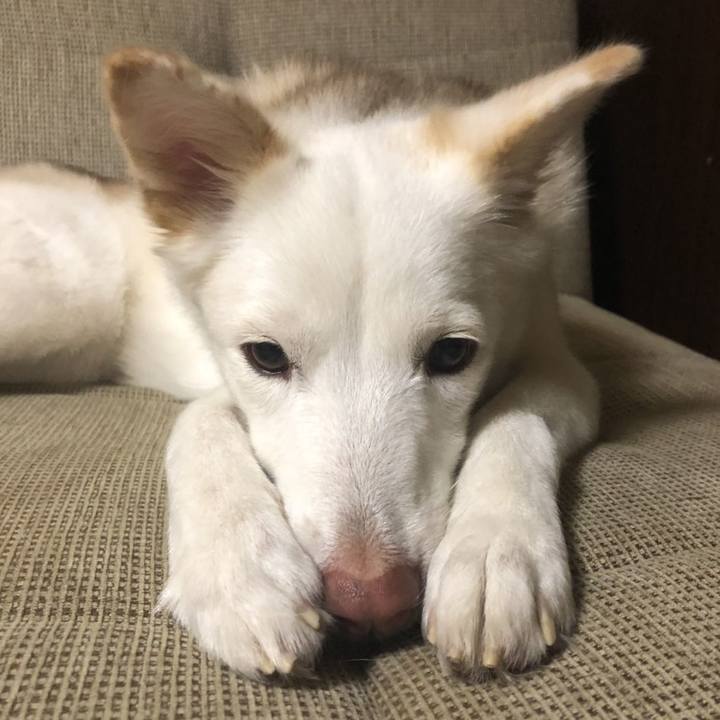 52302c40 bd5c 4d11 8433 36913d35154c 1541947940298