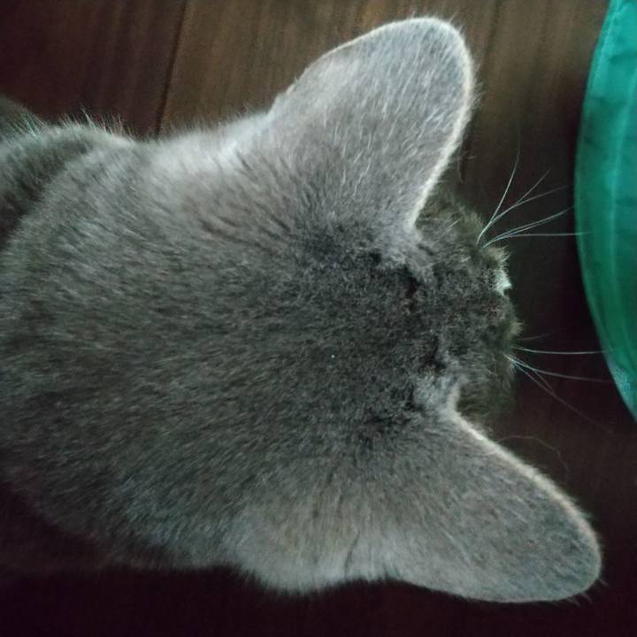 52307772 4f67 4f77 b0fd 56b8ce662b8c 1648512336436