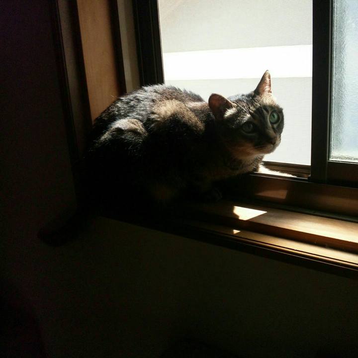 5230849f 029d 46db b63d ae12a1e66414 1558504369631