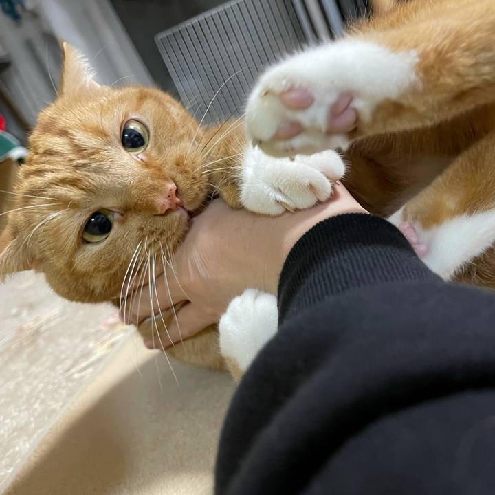 52309129 7587 42ef a2a3 51a1df05bbee 1638187888528