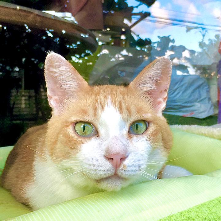 5230b825 7834 4d48 8616 4a28d635e18f 1599376741018