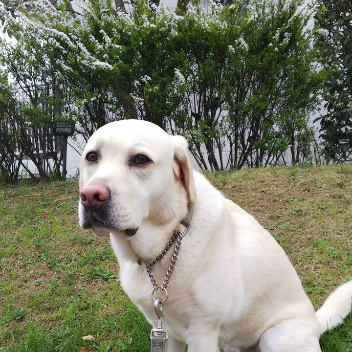 5230c0b2 c784 4da2 8665 782bd8152583 1553859191644