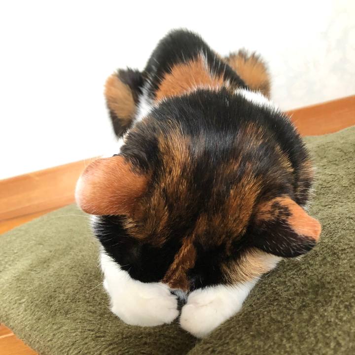 5230ff26 55d8 41b7 83de e84c123fd508 1588474115406