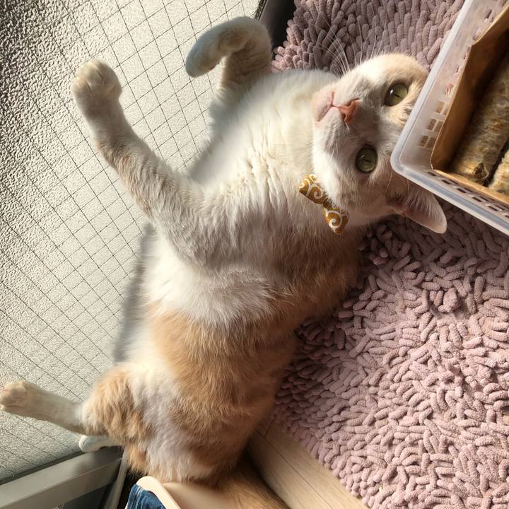 523109ce 4d5b 40be b267 52d20d3629a9 1586390865950