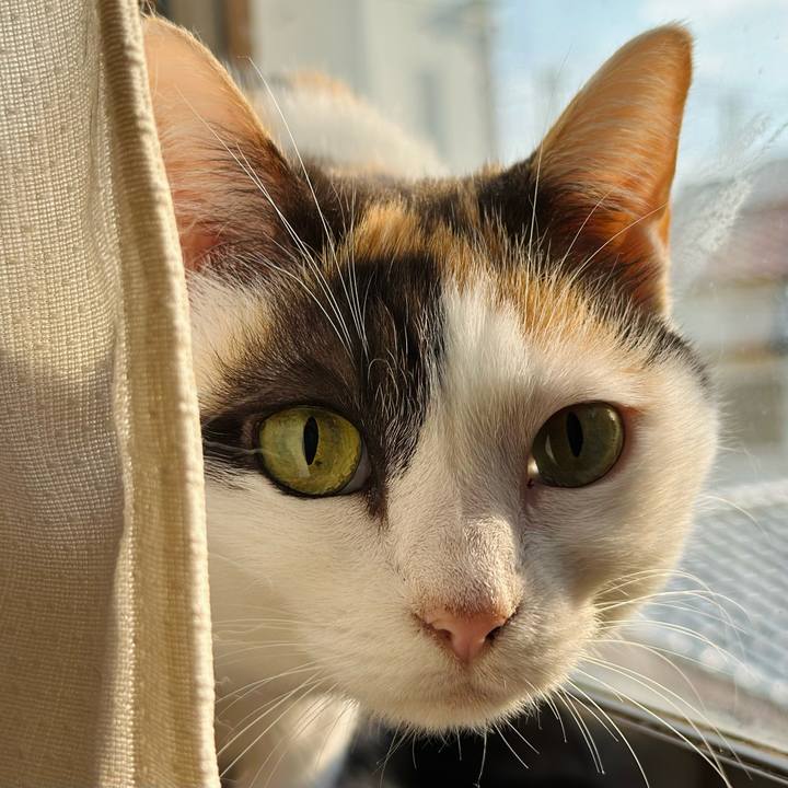 52314eef 213c 4c93 9487 eafb8d4deb99 1702087473781