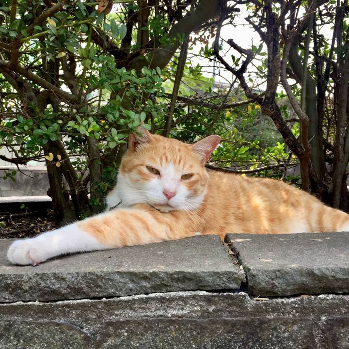 52319012 0461 4943 9d70 bdec1a870f3a 1561175351618