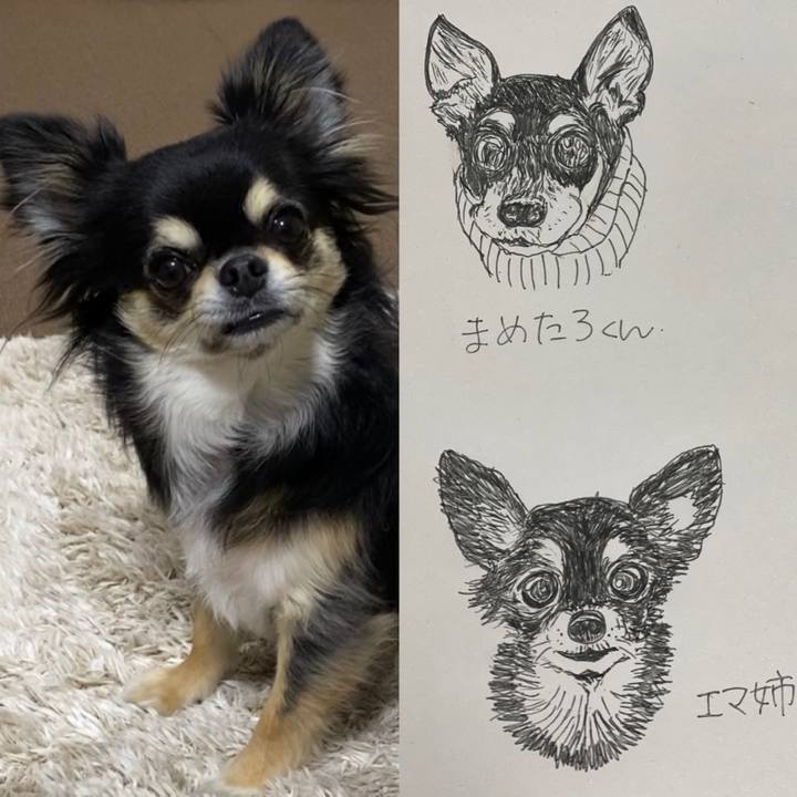 52319c56 747f 4f39 8943 f924a38ddb30 1611879207815