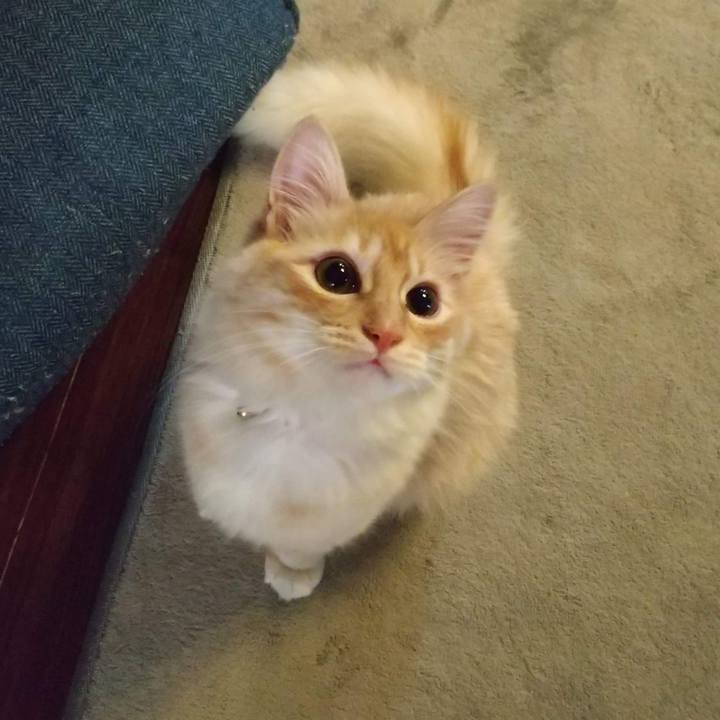 5231ba62 ed55 4ac8 8416 f5e0a2e19d98 1617228312752