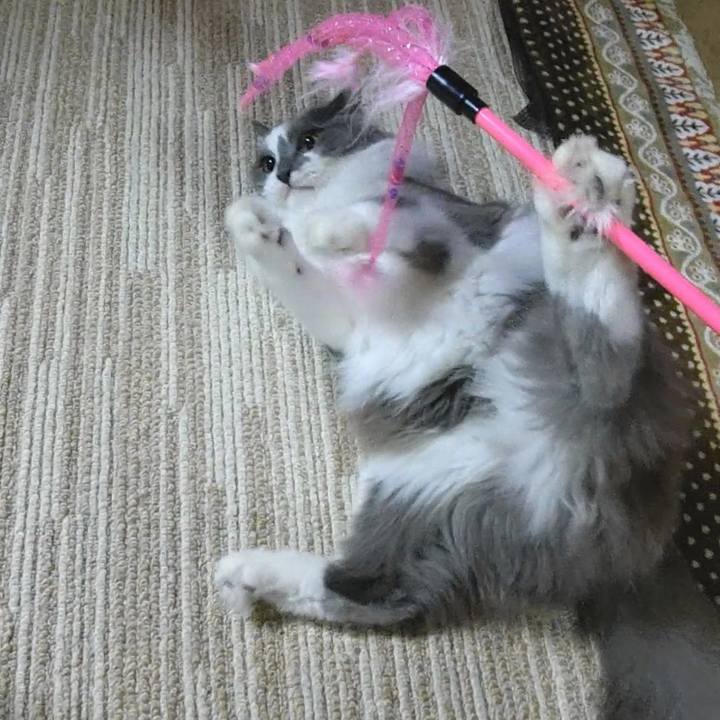 5231bd63 8974 4e51 a6bb 102c6909c3ab 1580209445958