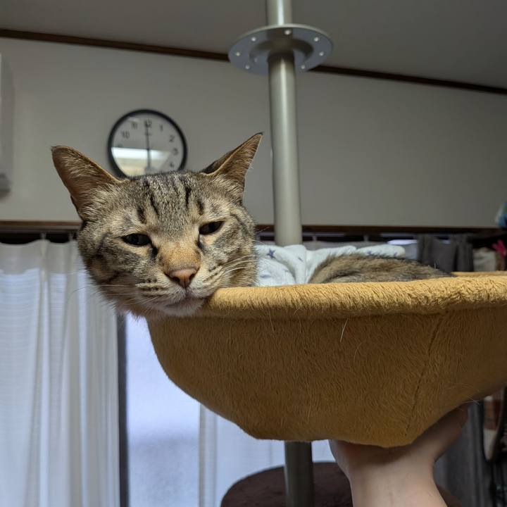 5231cb39 4310 47e4 bf4e 883fdb7abdf8 1750928479558