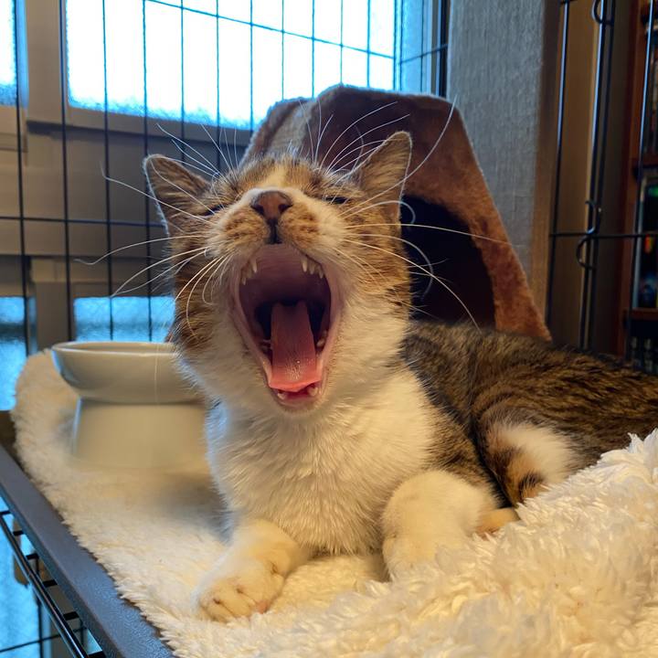 5231ce12 084d 4da9 a9a4 50f9887f8186 1585702410277