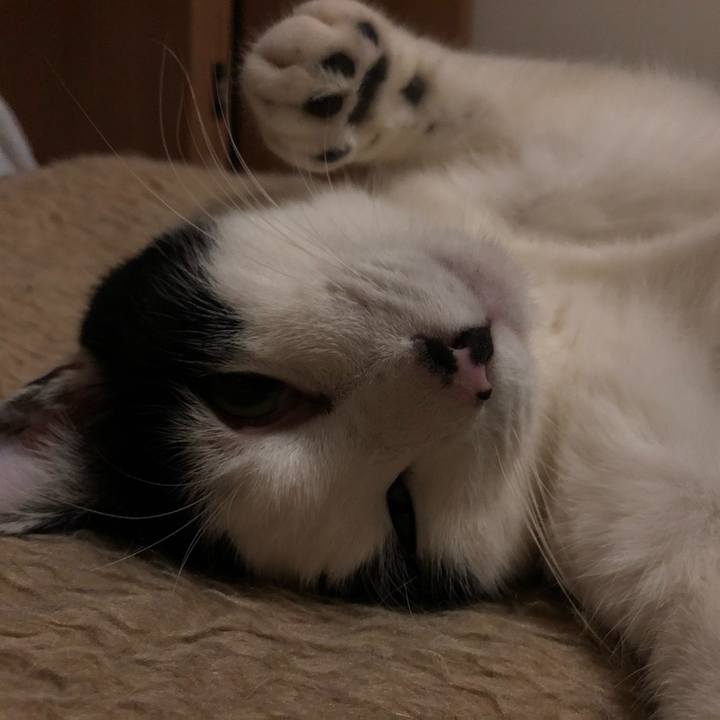 5231f0cb 3a27 4900 b3eb 051bf24ccd74 1546969702739