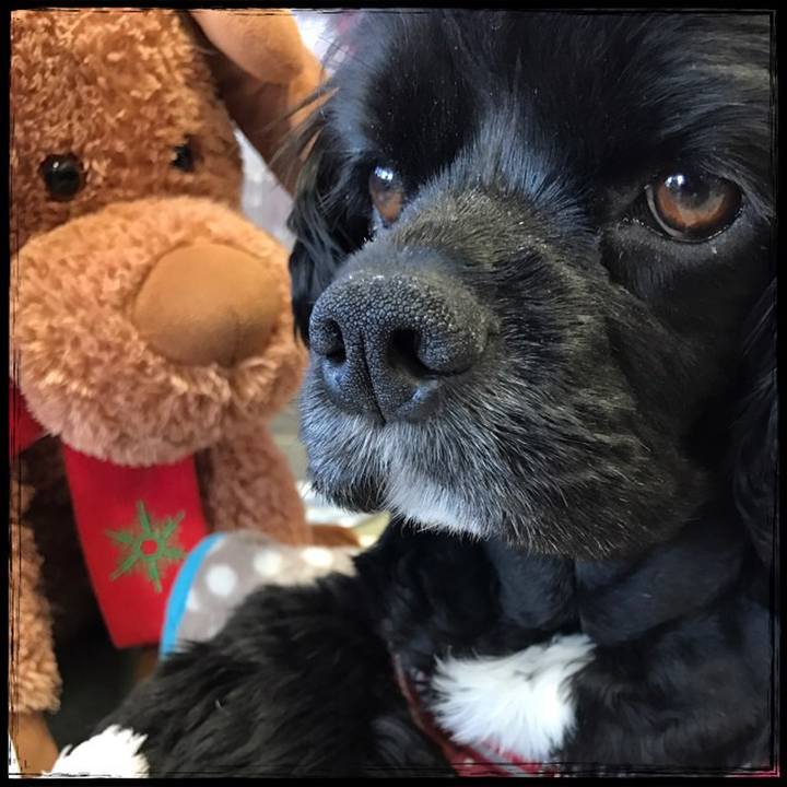 5231f642 3527 4c3c a6f3 7dff044c7848 1523620349781