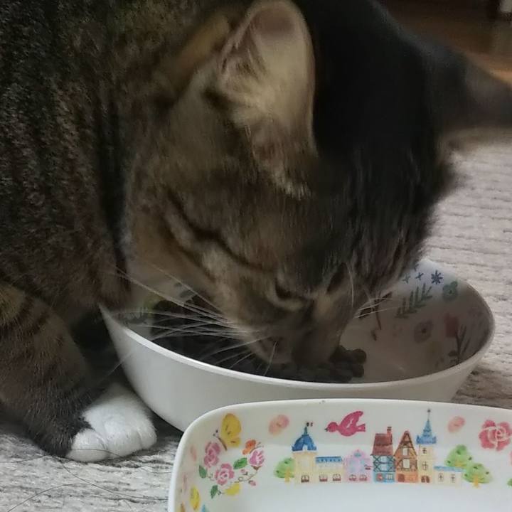 523218e9 7ad3 4dcd 9615 c8ae1c413762 1605532460628