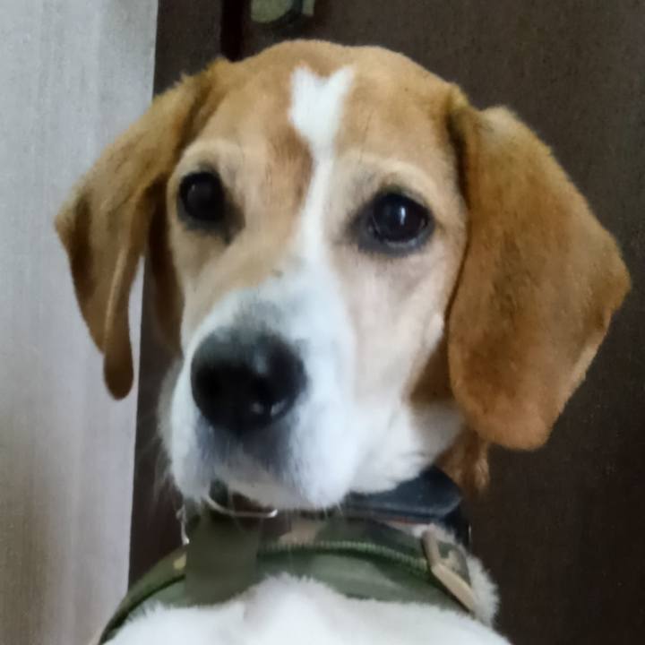 52323cc9 4fc4 427f 993b b4fa3fd53a1c 1713333019939