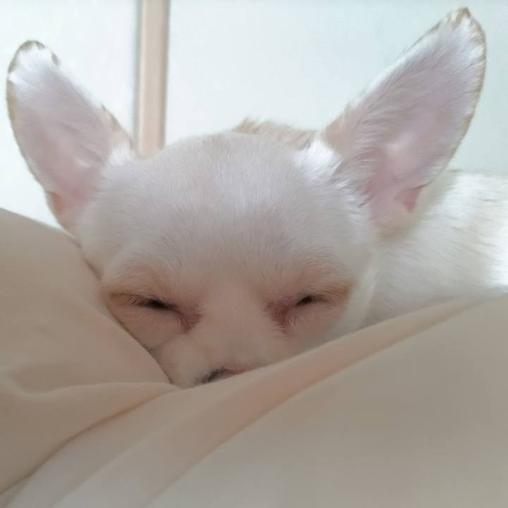 523261f6 afb3 4f64 b915 6f92a555c832 1723533817263