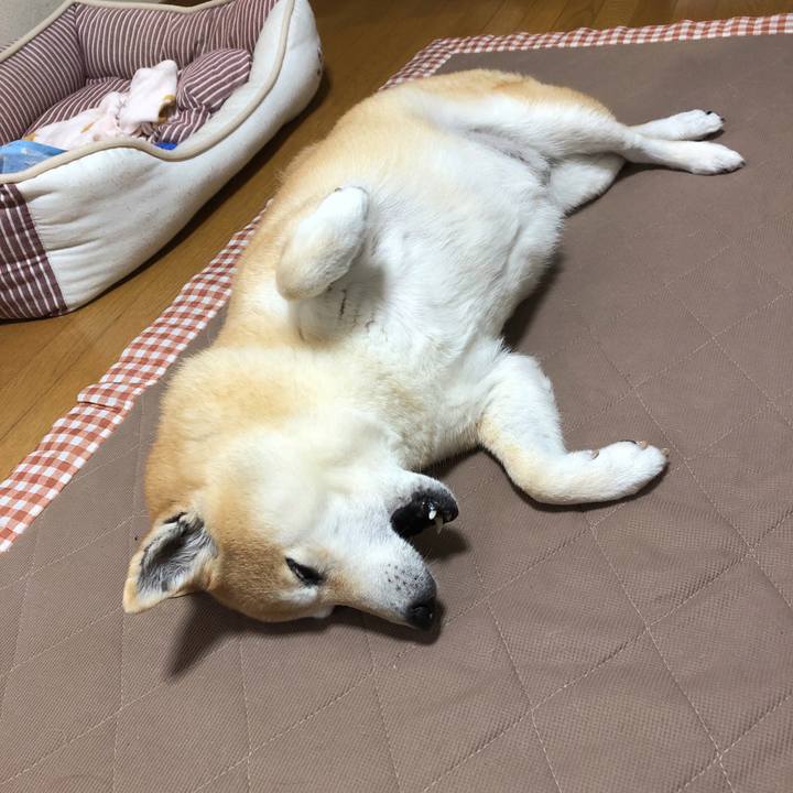 52326a81 ea80 405d 9bb0 634c5ddc013f 1556711556243