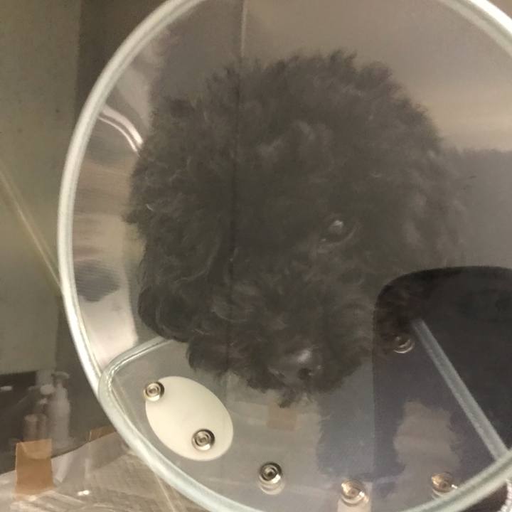 52327afc 5a50 403b 8eb5 8ea4b8c9ef40 1543401923473