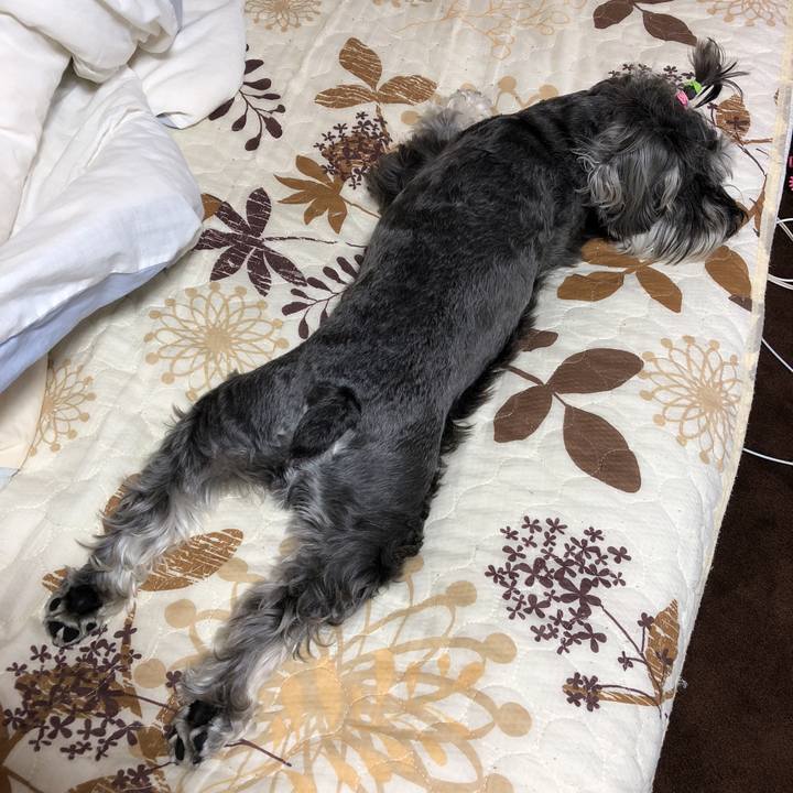 52328b56 6dde 447a b77c 6f6388327ff3 1530047843587