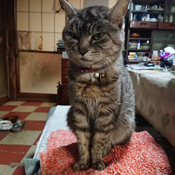 52328cf3 3abc 410f b8d9 630fdc500b8a 1582882107968