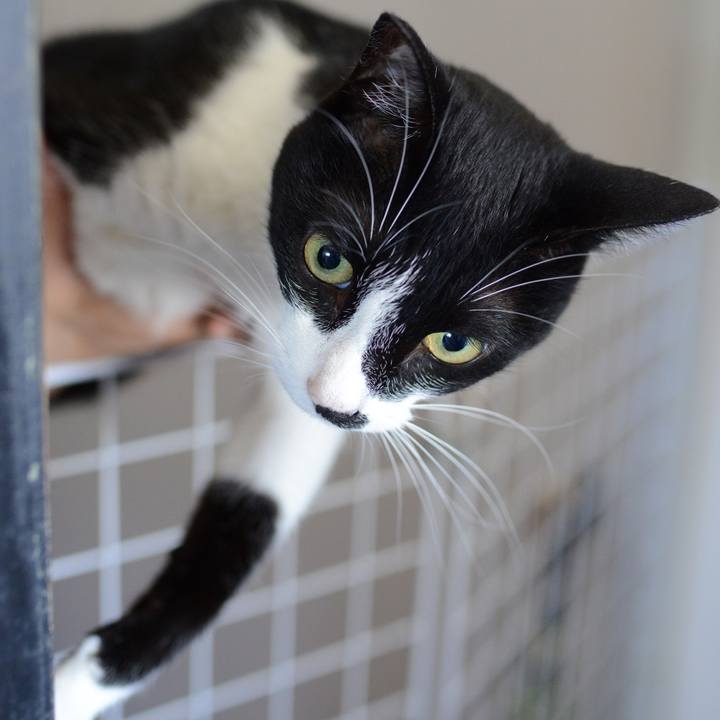 5232949e f664 4251 9e71 03ad63729edd 1532231485500