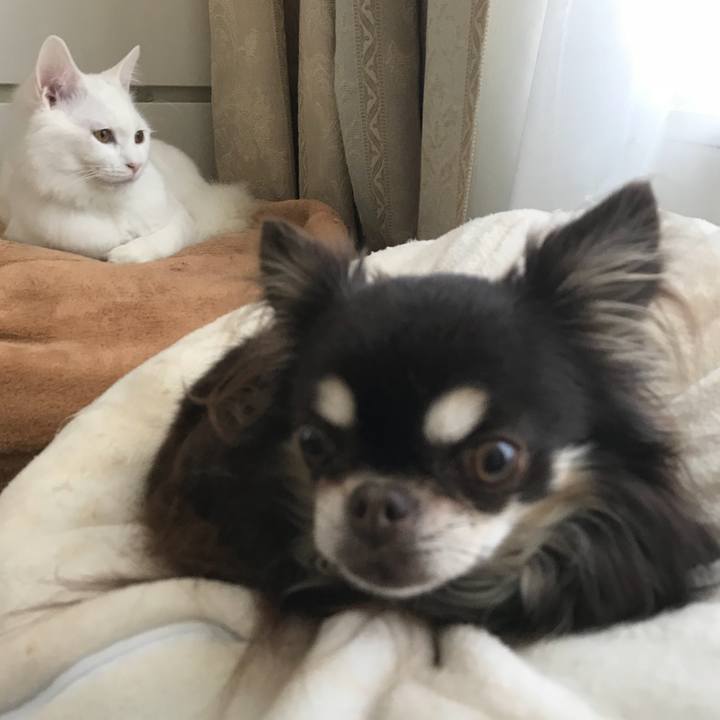 5232a40f 5402 45b7 bbdd 884d59f5921a 1517047101796