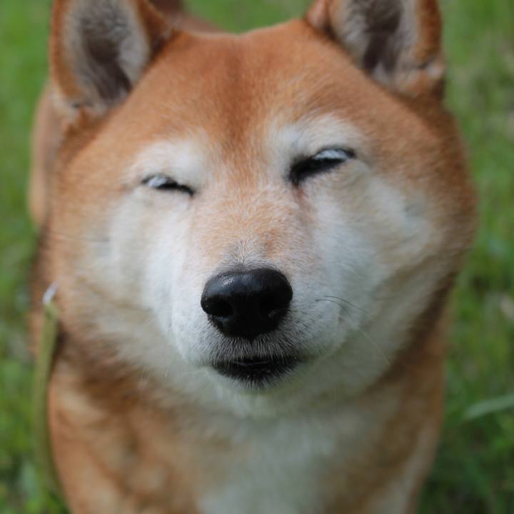 5232bd1d d3e8 4669 ac47 84b67f8bd83f 1616643612296