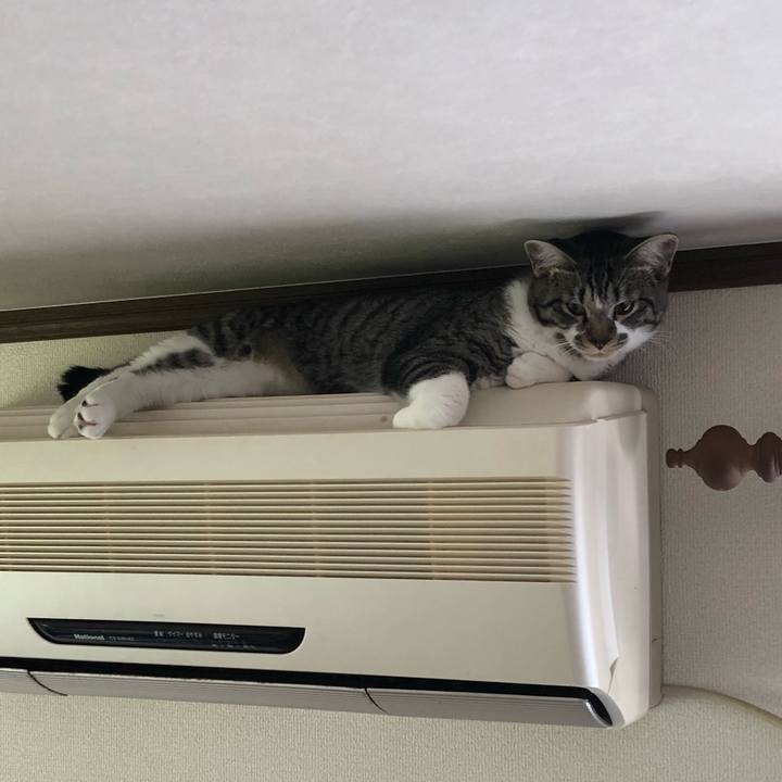 5232fb72 a777 4fce b9de 48fc486776e8 1656656848165