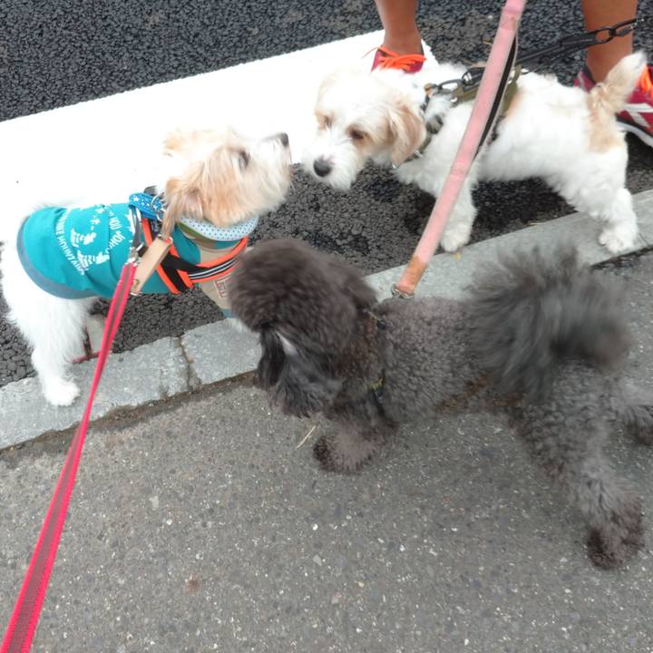 52330b2f ebf9 4490 b187 69b4942bc36c 1757628499542