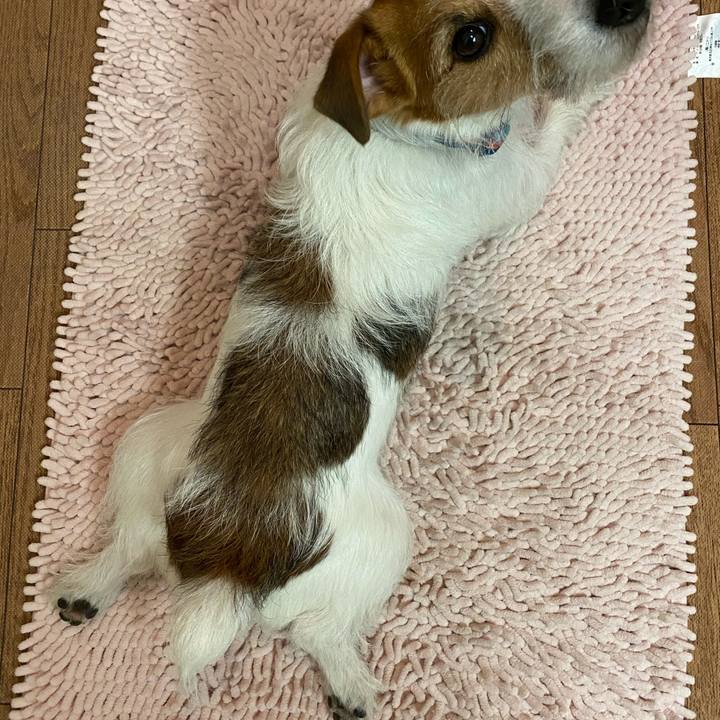 52330caa 43a5 4961 af99 0591bbe456c7 1682342872002