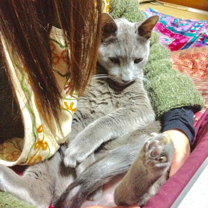 523312ec a6d1 44bc acf5 d4d556b3a3f7 1530283120401