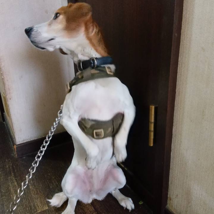 523329a4 ceb9 4f4d 9dbc 4daaed148b76 1742191151744