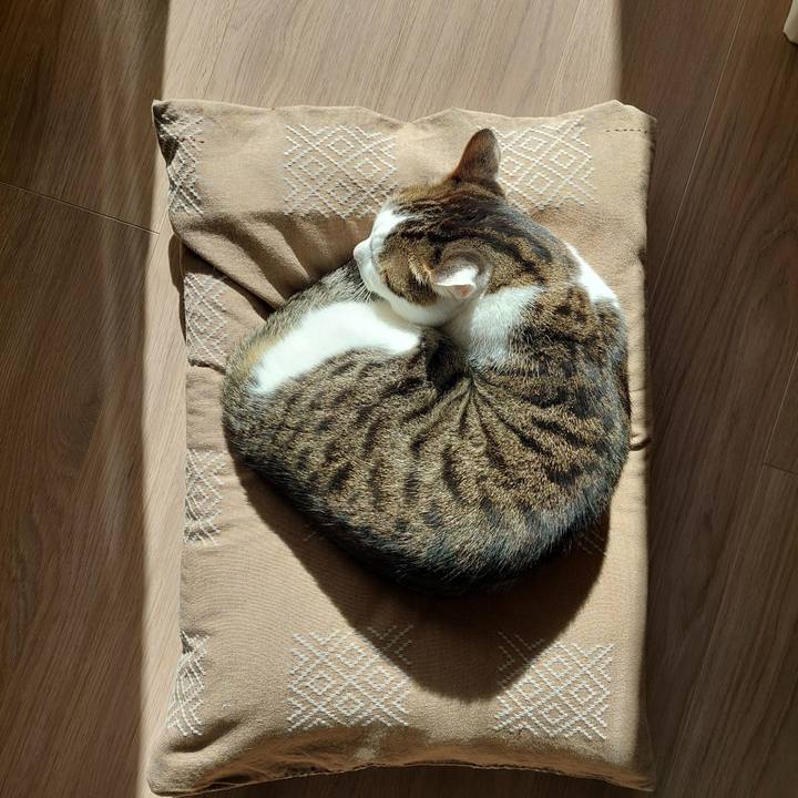 523337e6 d0c3 4fbf b05a 693b19a920f6 1674609334849