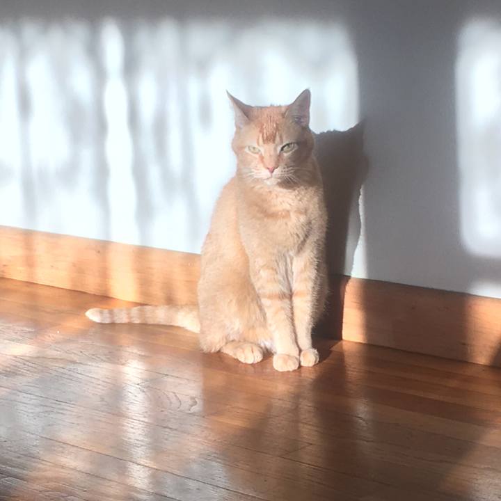 52333d6f 5fce 4558 b3ea d40712049f5f 1619221716286