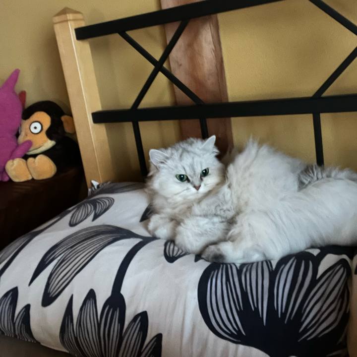 52333f09 ae7b 44f6 85a5 1a17a3098c92 1653786198544