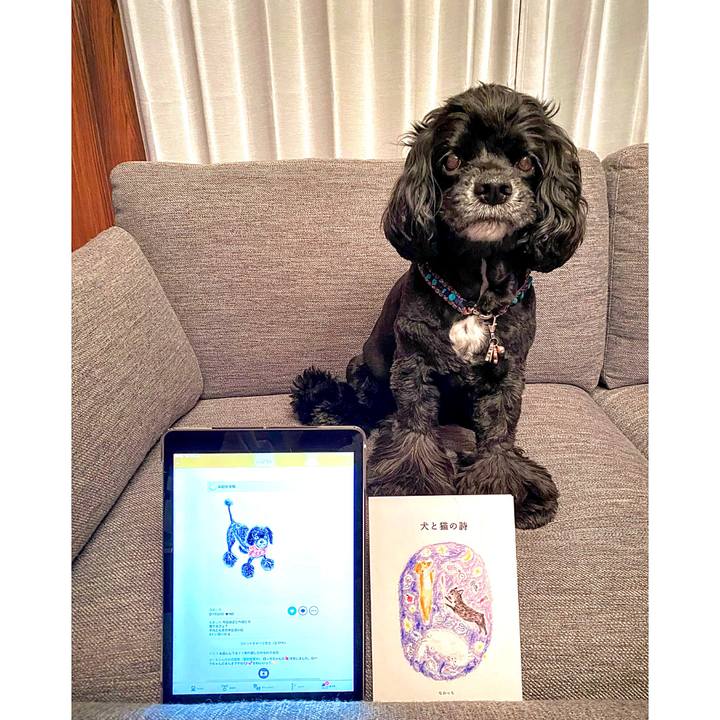 523387ee 43fd 421a ab24 c78c44926933 1663763313215