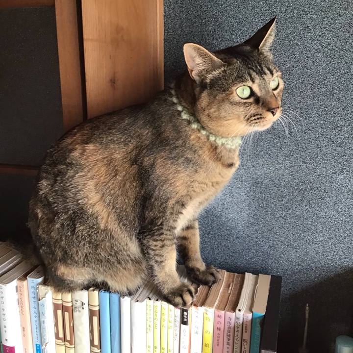 52339a4a 6ee3 47aa 96e2 b732841eb5c8 1645588188938