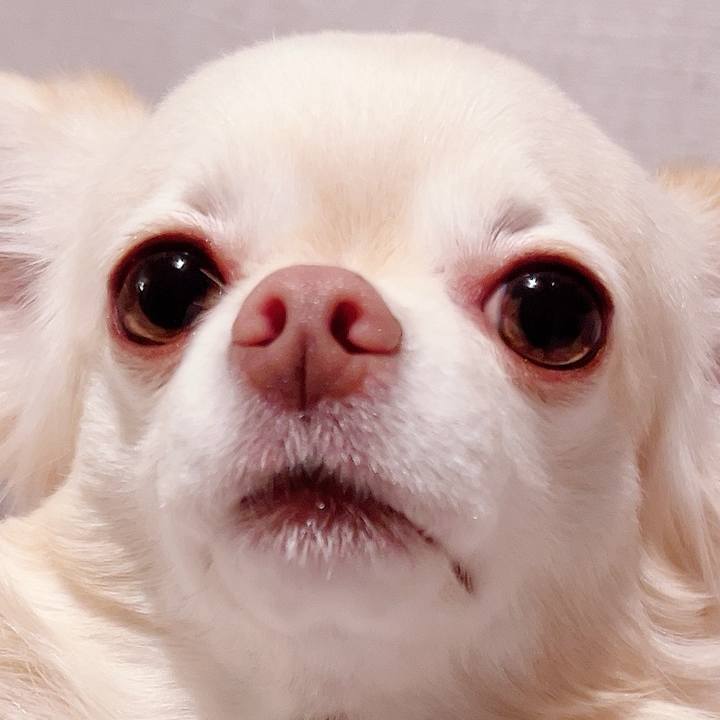 52339cd9 1567 40b1 9504 1a4fd276eef5 1733313158752