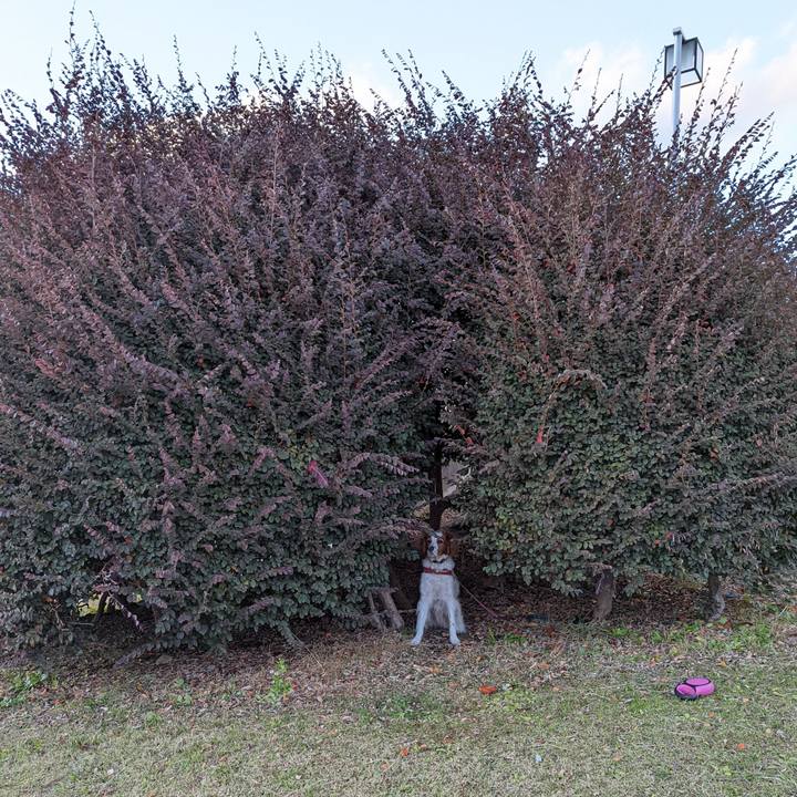 5233dc24 89f4 4976 81b8 92582245b51c 1638359581714