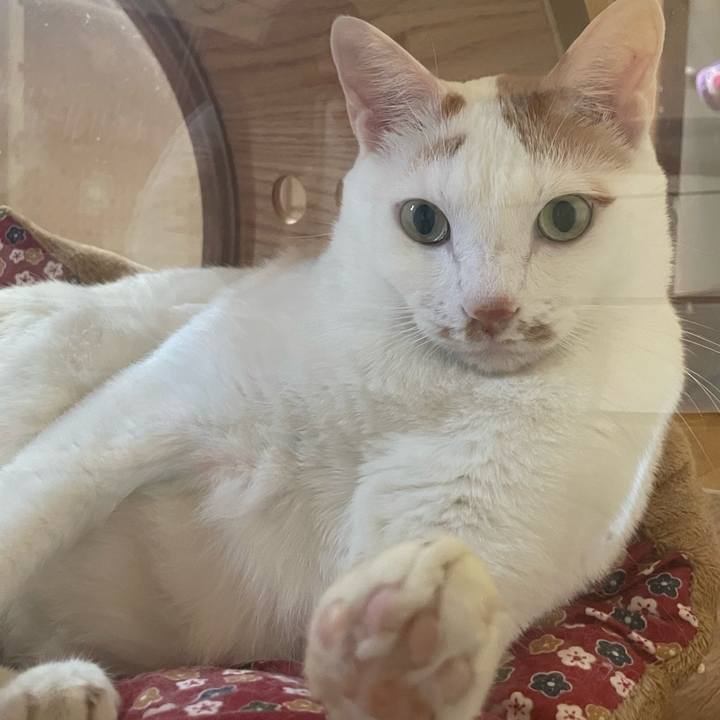 5233e0f0 41d2 4b57 8a0e 40990c9e68b4 1669646651590