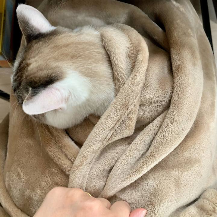 5233e6a1 f052 4133 8796 50599c32c28d 1618449572045