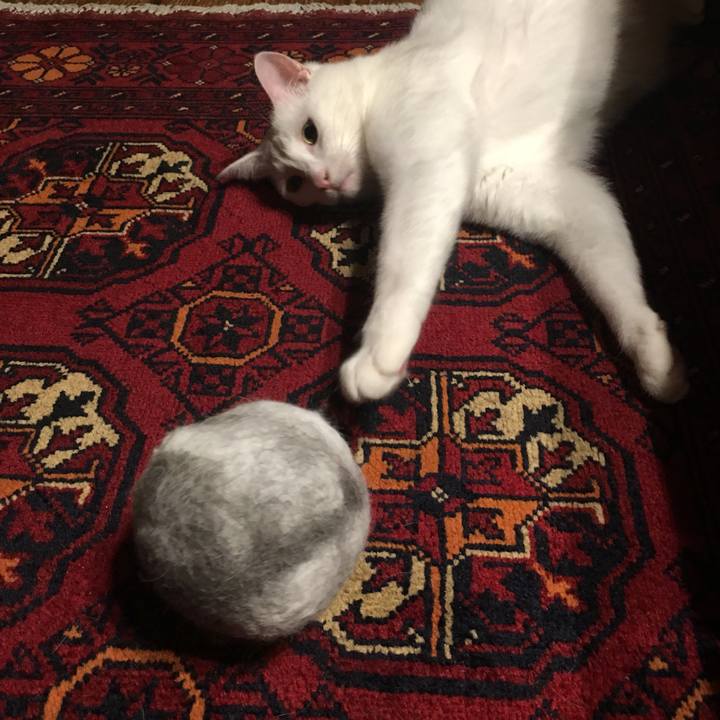 5233ea2d 8f96 4366 be55 0ddcc9278cfe 1560262155884