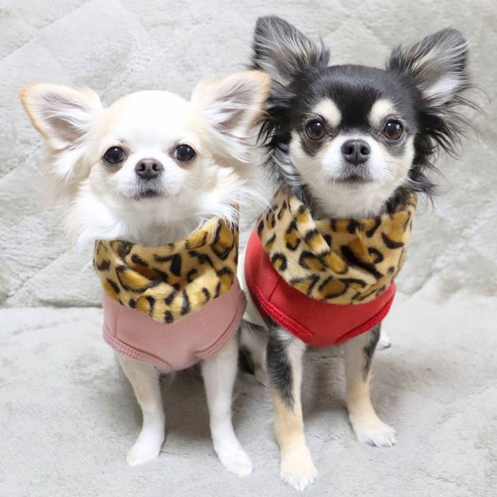 52342eb1 0415 4efd af68 6a62d381affe 1675322200034