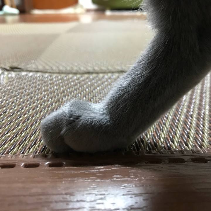 523453a0 999c 4bbc a79e 291d73f97d32 1521673463011