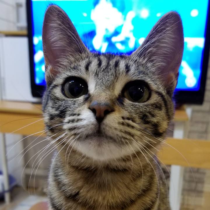 52347e77 d0bd 4f84 b2a9 eee93945181b 1548721078367