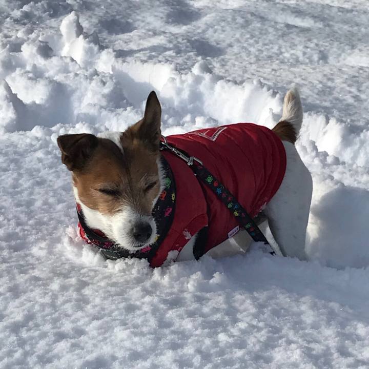 52349063 3239 4f4e 8317 4a6594014952 1516666850720