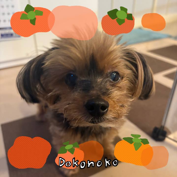 5234b0b2 62df 4e31 81e3 dfdd2686d97f 1761303494165