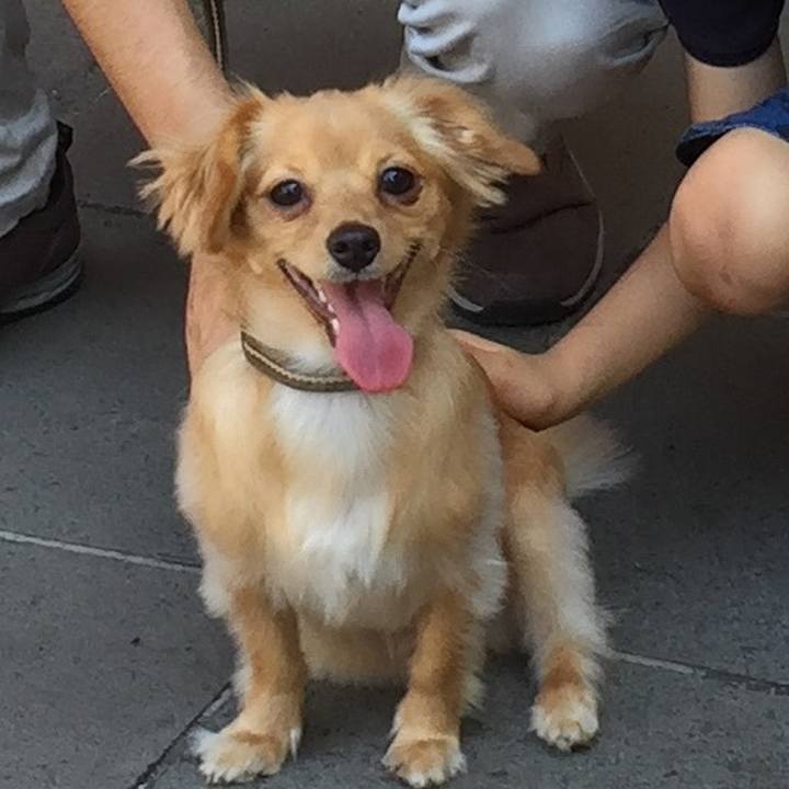 5234c54a 7800 4414 a682 16c4eb6f9b69 1538908723239