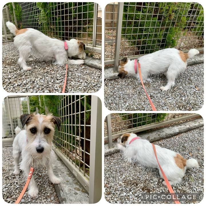 5234e71b 9d53 438b 8826 eefbdcd1c494 1647233052963